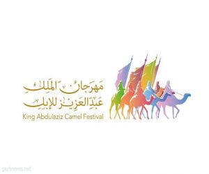 لجان التحكيم بمهرجان الملك عبدالعزيز للإبل تبدأ غداً في تحكيم “الفحل وإنتاجه”
