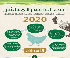 البيئة:تستكمل استعداداتها لبدء الدعم المباشر لمشروعات الدواجن في المملكة مطلع 2020م