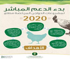 "البيئة" تستكمل استعداداتها لبدء الدعم المباشر لمشروعات الدواجن في المملكة مطلع 2020