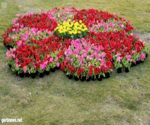 انطلاق مهرجان الزهور بمدينة جواثا السياحية بالأحساء