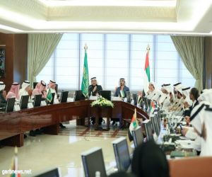 لجنة التنمية البشرية بمجلس التنسيق السعودي الإماراتي تستعرض منجزاتها ومبادراتها في ستة مجالات