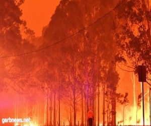 عواصف رعدية بأستراليا تحيي الآمال في إطفاء حرائق الغابات