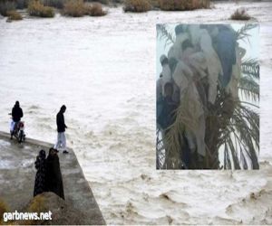 #إیران .. في سیستان وبلوشستان یحتمي المواطنين بأعالي النخیل هرباً من الفیضانات  " فيديو"