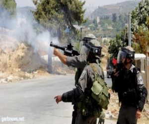 الاحتلال يطلق قنابل الغاز العمال الفلسطينيين شمال طولكرم