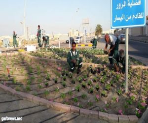 أمانة الشرقية : إصلاح أكثر من ١٨ ألف متر مربع من حفر الشوارع، وزراعة أكثر من ٦٦٠ ألف شجرة ووردة