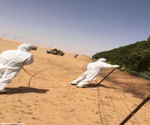 بمتابعة من الكرشمي فرق مكافحة الجراد تواصل رش المبيدات في المحافظة