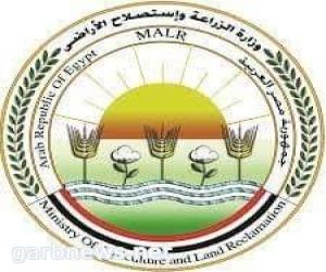 وزير الزراعة المصري يقرر العمل بالتراخيص الصادرة من قطاعات الوزارة