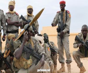 الجيش التشادي يُعلن القضاء على ألف مسلح من جماعة بوكو حرام الإرهابية