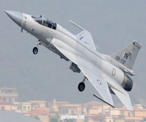مصرع طيارين إثر تحطم طائرة تدريب للجيش الباكستاني