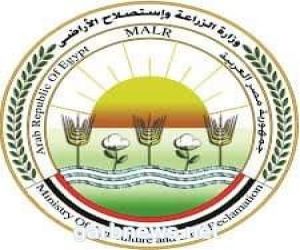 الزراعة المصرية تعلن منح إعتماد معامل مشروع مكافحة العفن البني في البطاطس شهادة الأيزو الدولية