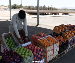 أمانة المدينة المنورة تستحدث سوقاً مؤقتاً للفاكهة والخضار بحي سيد الشهداء