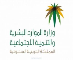 الحماية الاجتماعية بموارد وتنمية الرياض تتعامل بنجاح مع 350 عنف رغم تعليق الحضور لمقرات العمل بسبب كورونا