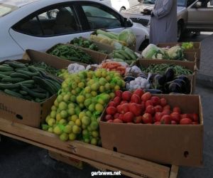 بلدية "البلد" بجدة تصادر 17 طناً من الخضراوات والفواكه وتتلف 33 عربة وبسطة