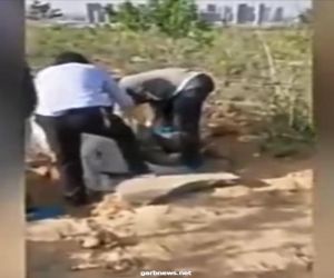 رجل يدفن والدته المسنة في قبر وهي على قيد الحياة