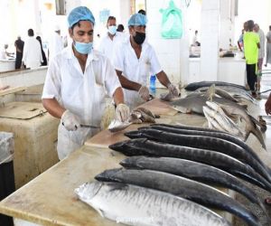 جازان تسهم في تعزيز الأمن الغذائي بـ20٪ من الإنتاج السمكي للمملكة