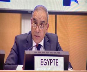 مصر : تتسلم رئاسة المجموعة الأفريقية في چنيف