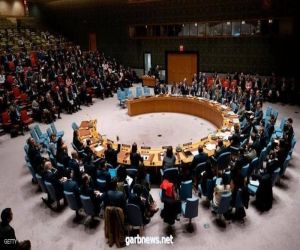 مجلس الأمن "في ورطة" بسبب كورونا