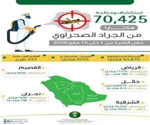 *"البيئة" تستكشف وتعالج 70.42 ألف هكتار من الجراد الصحراوي في 5 مناطق