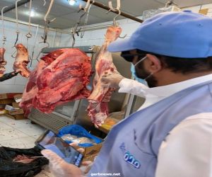 إغلاق ١٨١من المحال ومصادرة طن من اللحوم الفاسدة بنطاق التاريخية بجدة