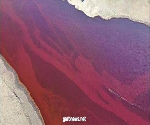 روسيا .. تسرب الوقود حول النهر إلى اللون الأحمر