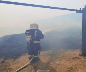 بالصور.. اندلاع حريق في مستودع أعلاف بشرورة