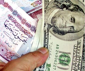 الدولار يواصل الارتفاع أمام الجنيه المصري