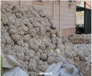 بلدية العمرة بمكة تصادر ٥ أطنان ثوم