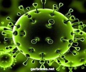 المغرب تسجل 92 إصابة جديدة بفيروس كورونا