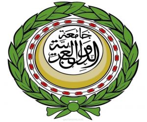 وزراء الخارجية العرب يتبنون إ علان القاهرة لحل الأزمة في ليبيا