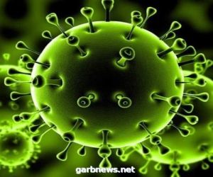 الولايات المتحدة تُسجل 2,516 حالة وفاة نتيجة فيروس كورونا