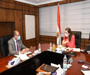 برامج تعاون بين مصر ومنظمة العمل الدولية