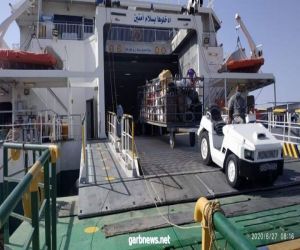 وصول 562 راكب مصرى من المملكة العربية السعودية إلى   ميناء سفاجا البحرى