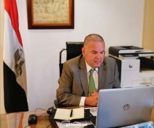 وزير قطاع الأعمال العام: نستهدف استعادة عرش القطن المصرى