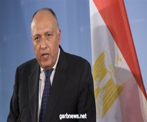 وزير الخارجية المصرى  اليوم : جلسة مجلس الأمن أتاحت فرصة لمصر لعرض موقفها بشكل واضح