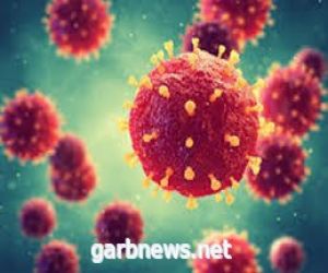 في دراسة حديثه .. التشابه بين الفيروسات التاجية والجينات البشرية يعزز العدوى