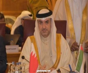 سفير البحرين لدى مصر: نؤيد جميع القرارات التي تتخذها مصر تجاه ليبيا وسد النهضة