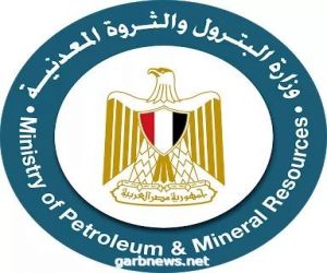 بيان صحفى بشأن قرار لجنة التسعير التلقائى للمنتجات البترولية بمصر
