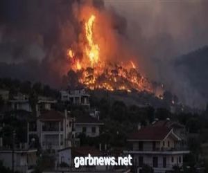 . حريق ضخم في إحدى غابات اليونان.. وفرق الإطفاء تكافح لليوم الثاني لإخماده