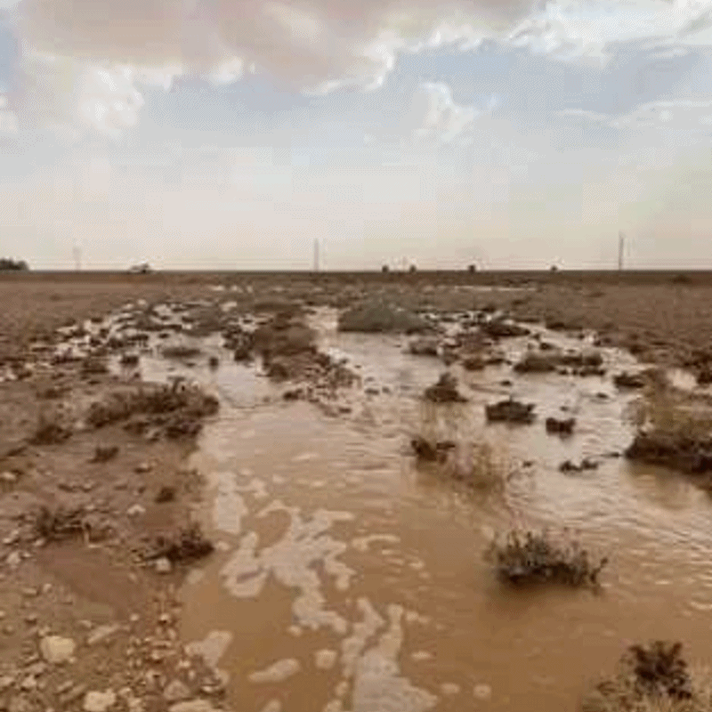أمطار صيفية على أجزاء متفرقة شمال منطقة الرياض