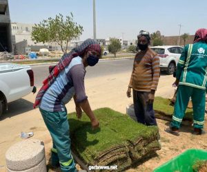 بلدية القطيف: زراعة  20 ألف م2 مسطحات خضراء في المحافظة