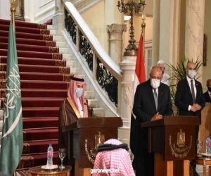 مصر والسعودية توافق في الرؤى حول مواجهة التدخلات الخارجية في المنطقة