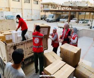 بعد 24 ساعة من انطلاقها.. مبادرة الهلال الأحمر تصل محافظة شمال سيناء المصرية