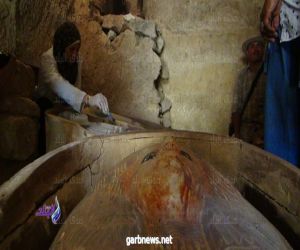 وزيرة التعاون الدولي المصرية تدعو الملياردير ماسك لزيارة مقابر بناة الأهرام