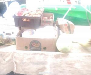 بلدية العزيزية بمكة تُنفذ حملة على الباعة الجائلين وتصادر 80 كجم من الفواكه