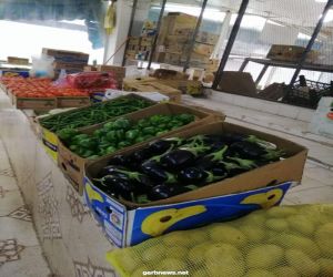 بلدية الغزة تُكثف حملاتها على المنشآت الغذائية
