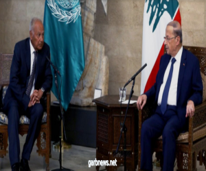 أبو الغيط بعد لقائه الرئيس ميشال عون :الوضع اللبنانى معقد وصعب