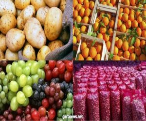 ارتفاع صادرات مصر الزراعية لـ أكثر من 3.9 مليون طن والبطاطس تحتل المركز الثاني بعد الموالح