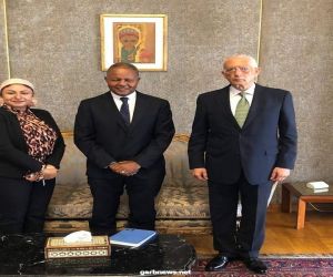 نائب وزير الخارجية للشئون الافريقية يستقبل مدير برنامج الغذاء العالمي في مصر