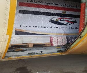 السفير العراقي  بالقاهرة يشكر مصر لدعم قطاع الصحة العراقي في التصدي لكورونا