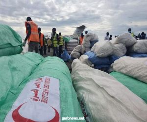 مساعدات عاجلة لمتضرري فيضان السودان من  التضامن "و"الهلال الاحمر" المصريين